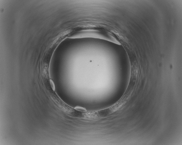 X0000067850141200604131300