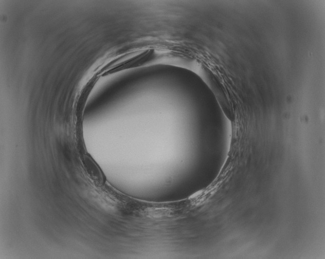 X0000067850150200604131300