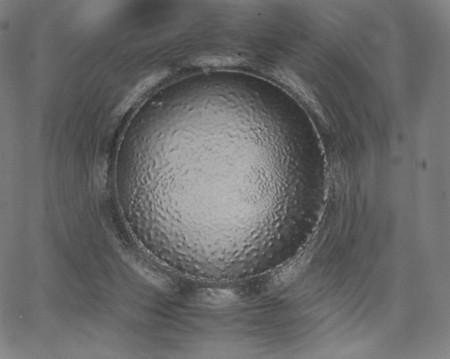 X0000067850159200604131300