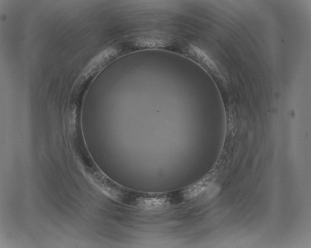X0000067850163200604131300