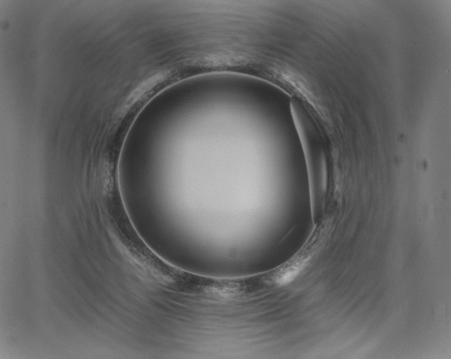 X0000067850164200604131300