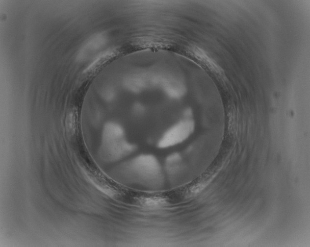 X0000067850165200604131300
