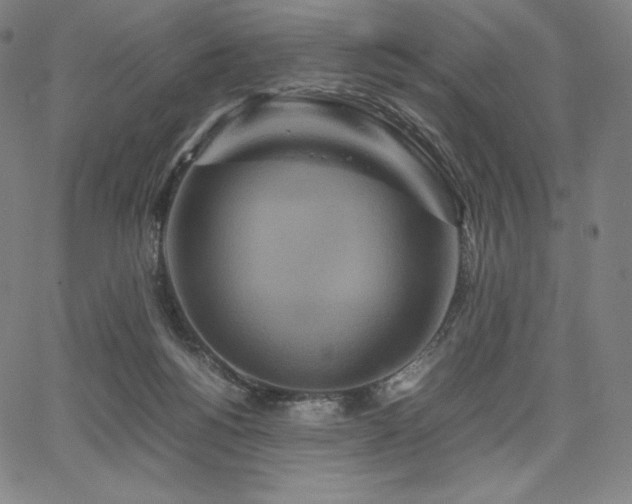 X0000067850168200604131300