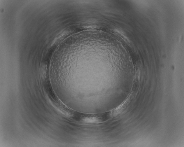X0000067850171200604131300