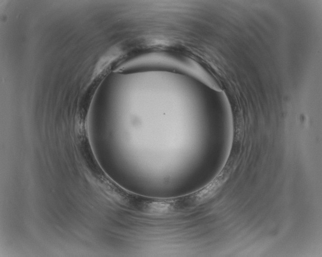 X0000067850176200604131300