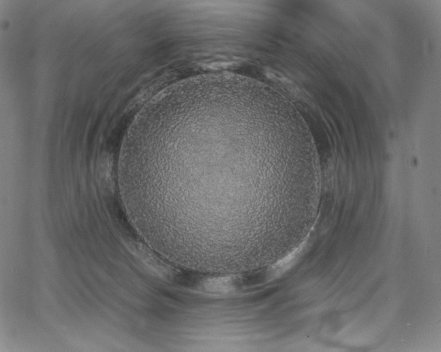 X0000067850178200604131300