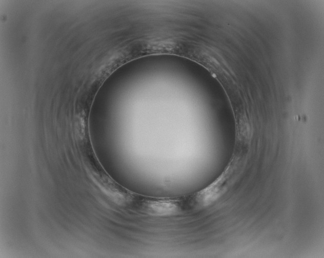 X0000067850183200604131300