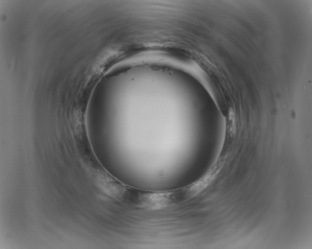 X0000067850184200604131300