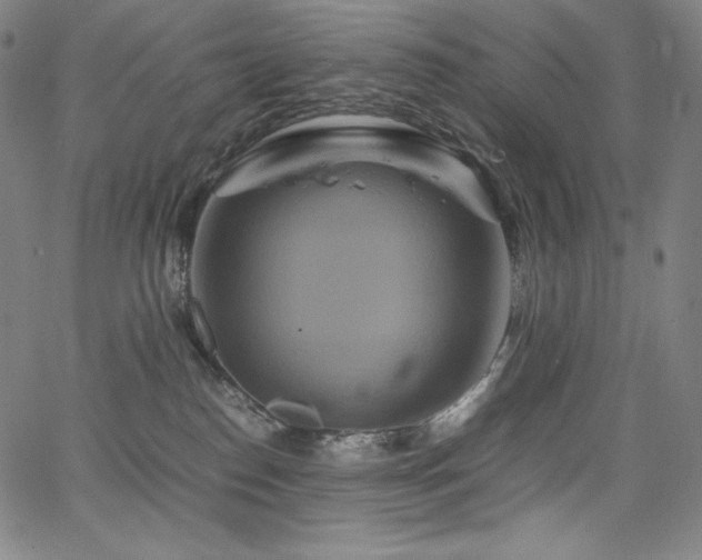 X0000067850186200604131300