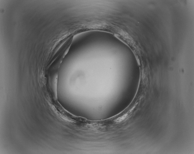 X0000067850201200604131259