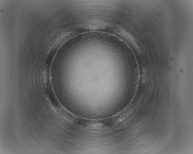 X0000067850210200604131259