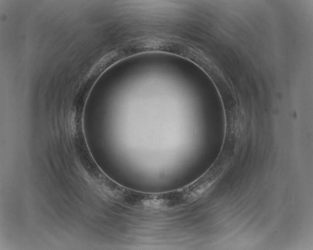 X0000067850216200604131259