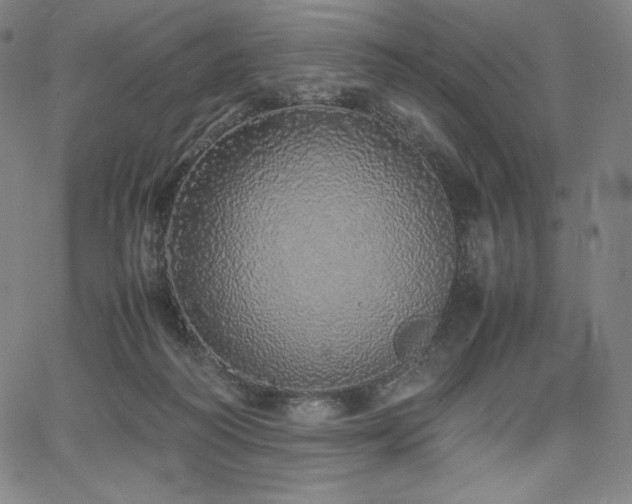 X0000067850218200604131259