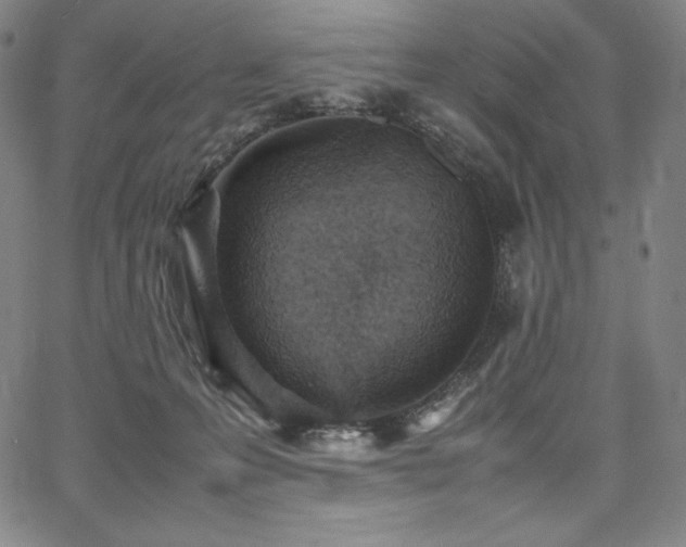 X0000067850223200604131259