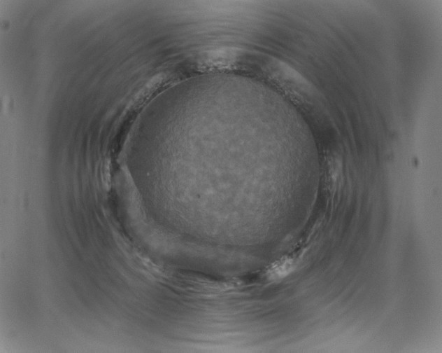 X0000067850224200604131259
