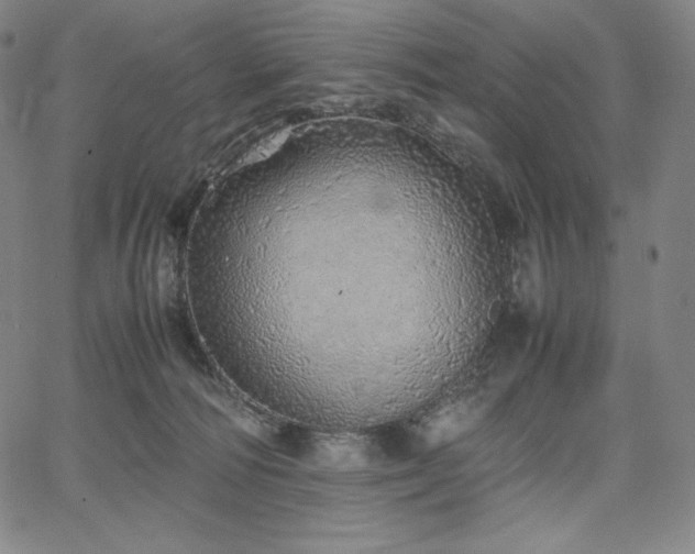X0000067850226200604131259