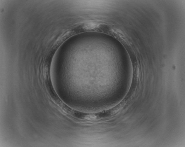 X0000067850227200604131259