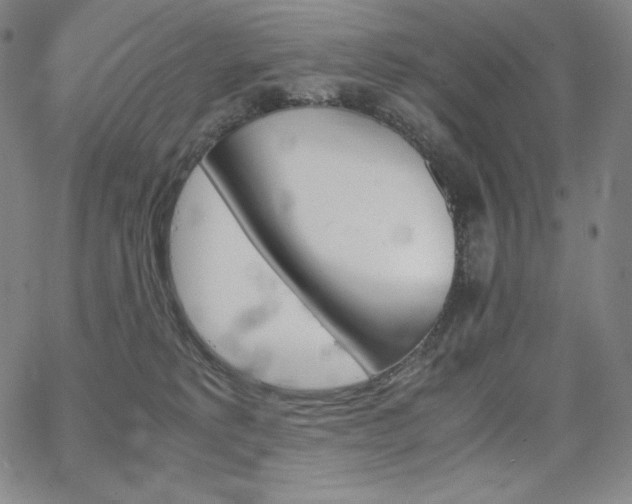 X0000067850229200604131259