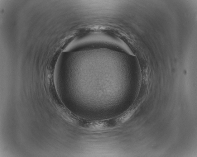 X0000067850235200604131259