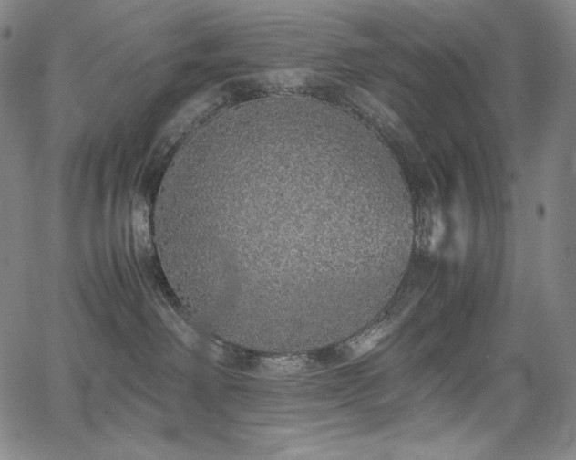 X0000067850238200604131259