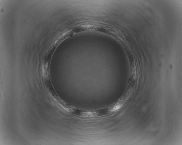X0000067850239200604131259