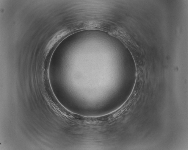 X0000067850242200604131258