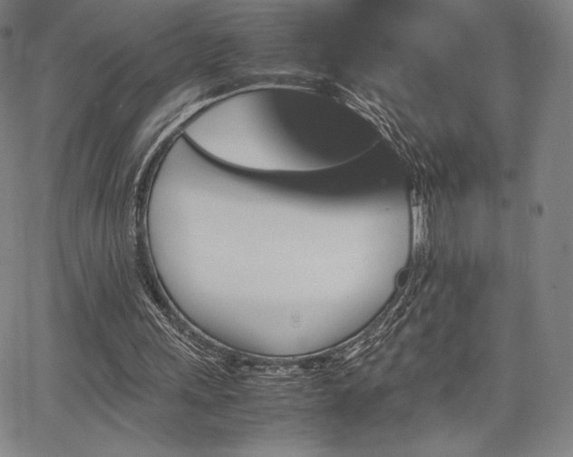 X0000067850243200604131258