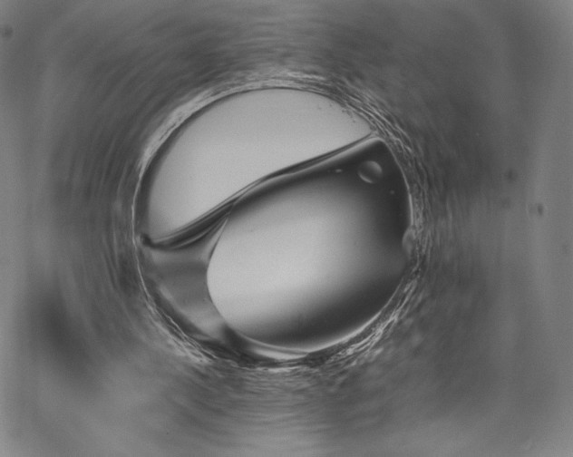 X0000067850244200604131258