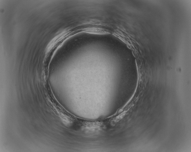 X0000067850245200604131258