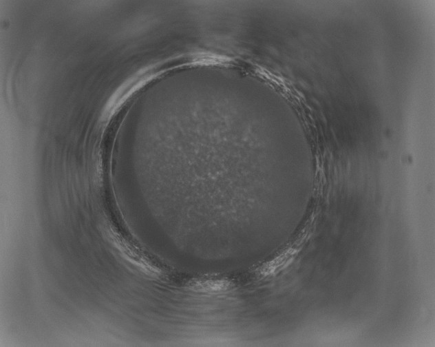 X0000067850247200604131258