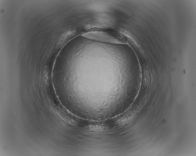 X0000067850259200604131258