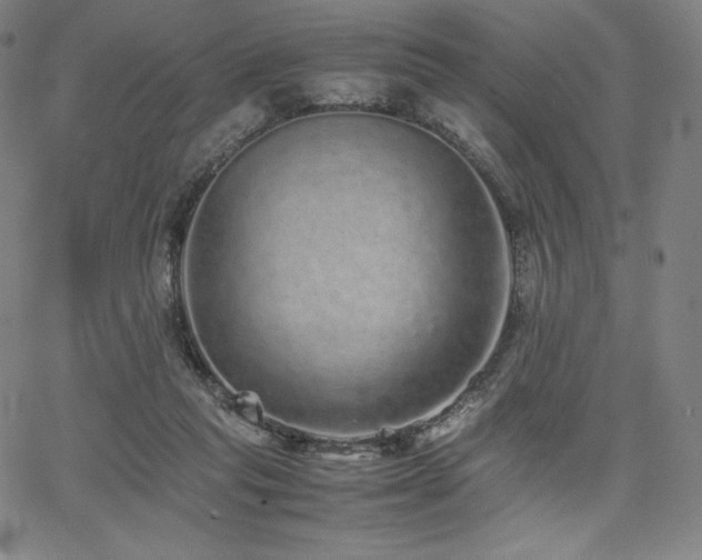 X0000067850261200604131258