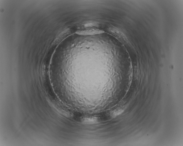X0000067850263200604131258