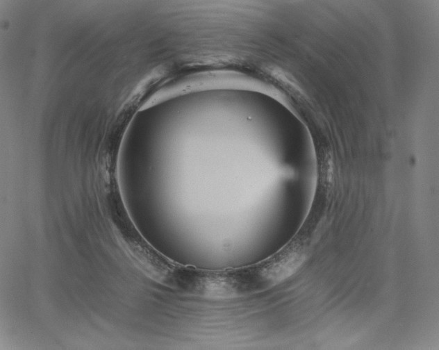 X0000067850264200604131258
