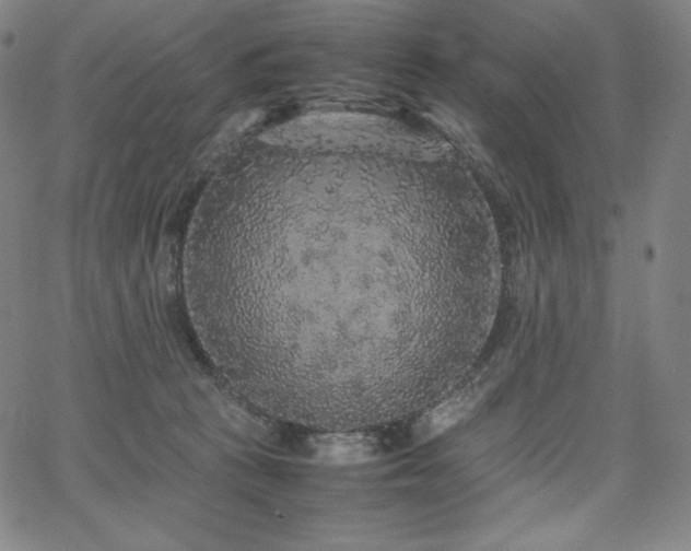 X0000067850273200604131258