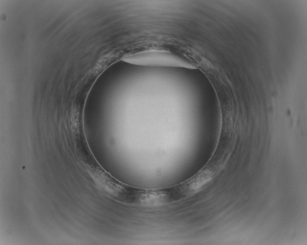 X0000067850274200604131258