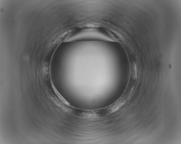 X0000067850284200604131259