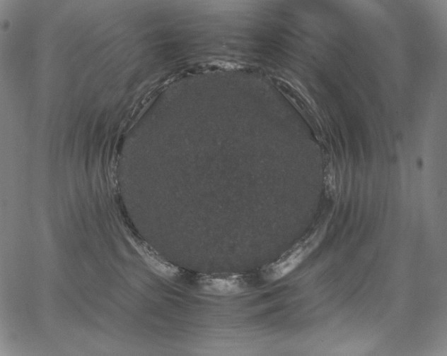 X0000067850285200604131259