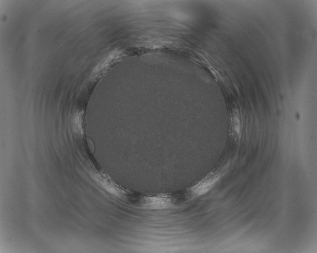 X0000067850286200604131259