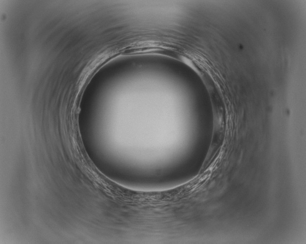 X0000067850289200604131258