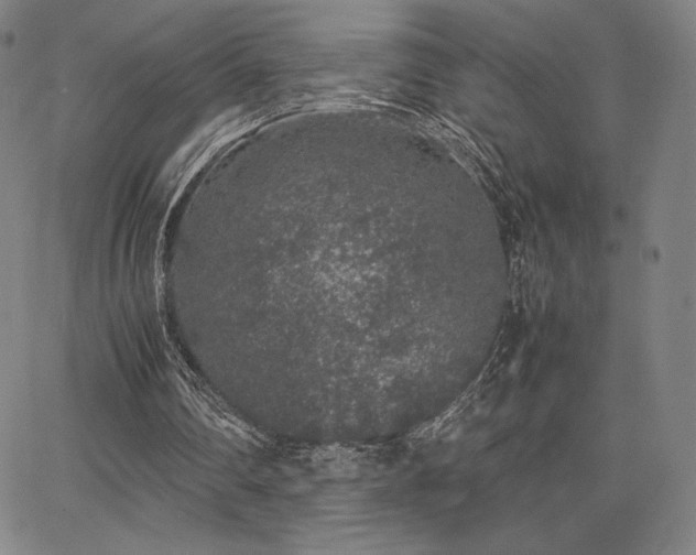 X0000067850290200604131258