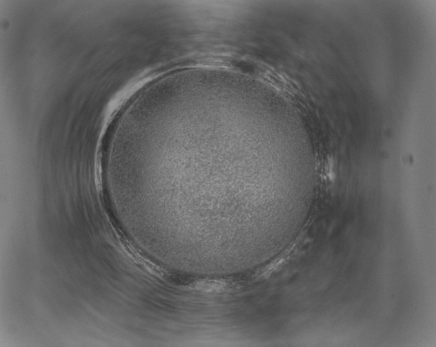 X0000067850294200604131258