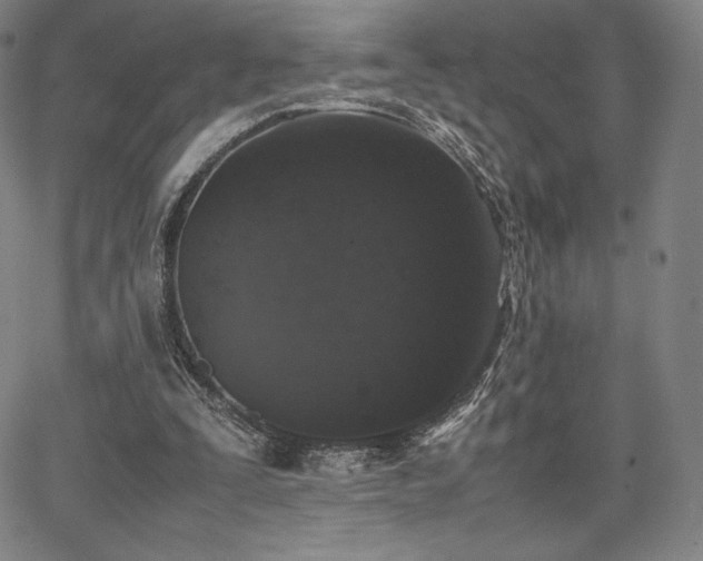X0000067850295200604131258