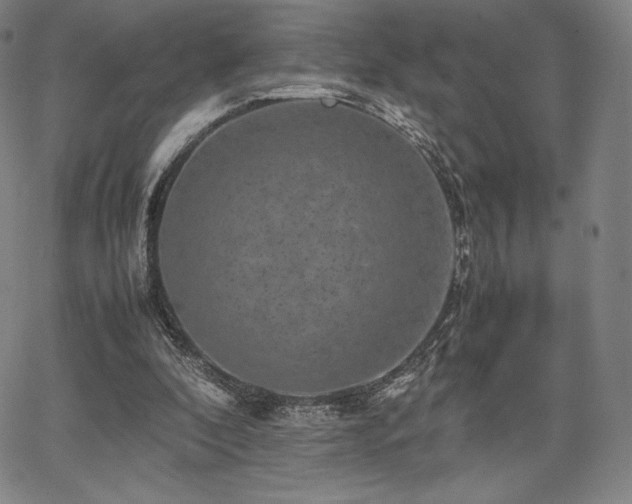 X0000067850296200604131258