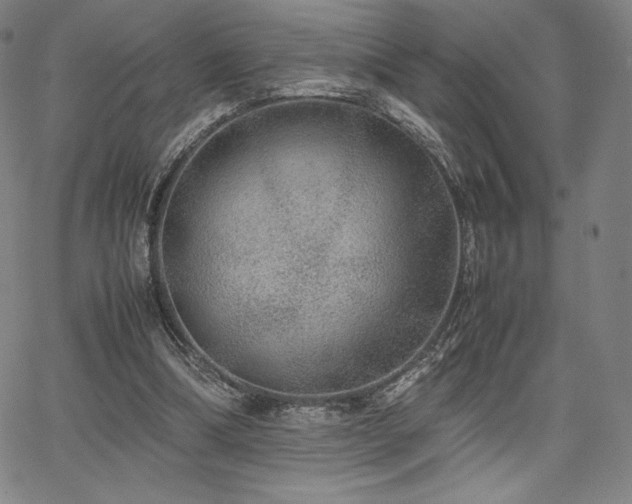 X0000067850298200604131258