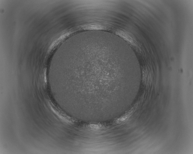 X0000067850302200604131258