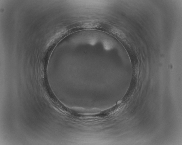 X0000067850303200604131258