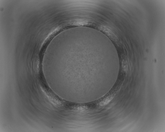 X0000067850304200604131258