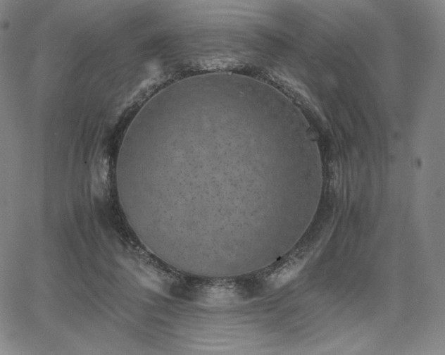 X0000067850308200604131258