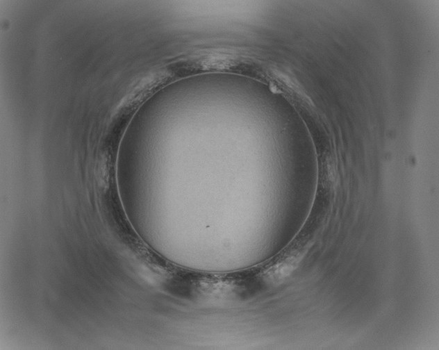 X0000067850311200604131258